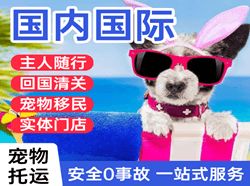 山南隆子空运代理国际宠物托运 【国